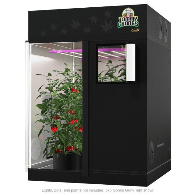 Tommy Chong x Gorilla Grow Tent 5'x5' OG