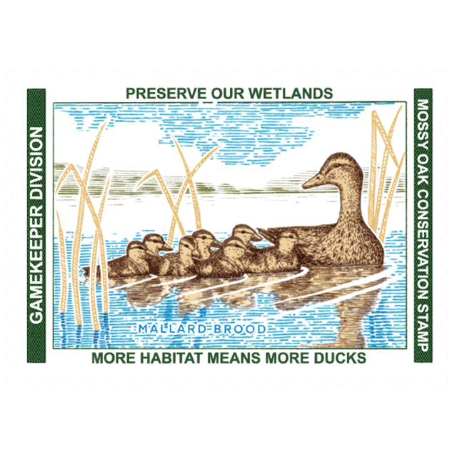 2025 Waterfowl Conservation Stamp