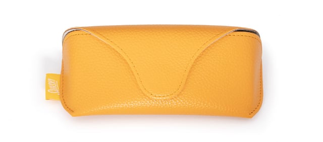 Sunski Hardcase