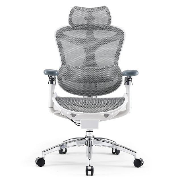 Sihoo Doro C300 Pro Ergonomic Chair