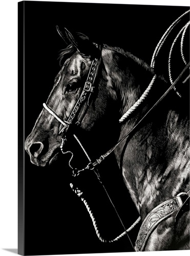 Scratchboard Rodeo V Stretched Canvas Print