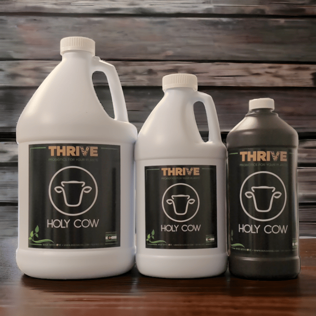 Thrive Yah-Whey Concentrate: Holy Cow