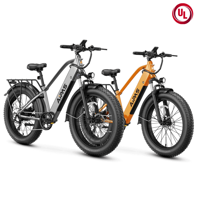 Aipas® Ebike Combo Sale M2*2