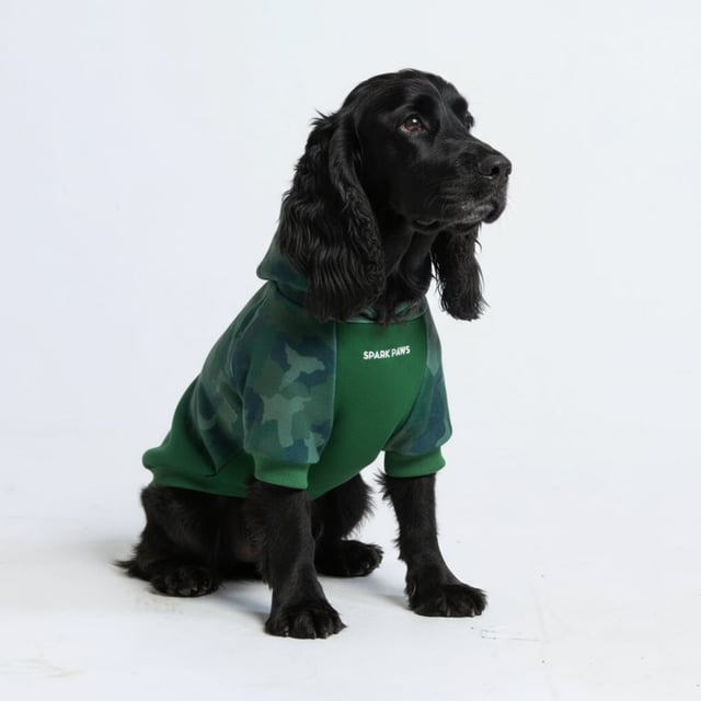 Forest Camo Dog Hoodie