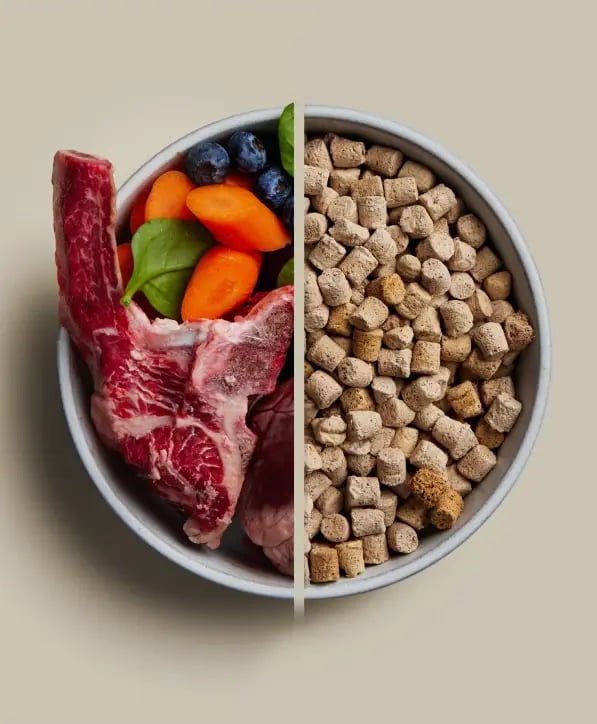 Beef Recipe