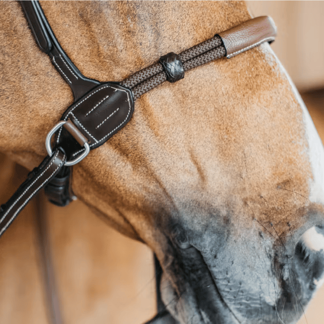 Dy'on Bitless Bridle