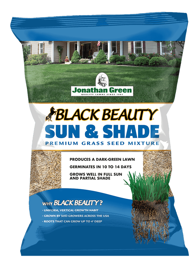 Black Beauty® Sun &amp; Shade Grass Seed