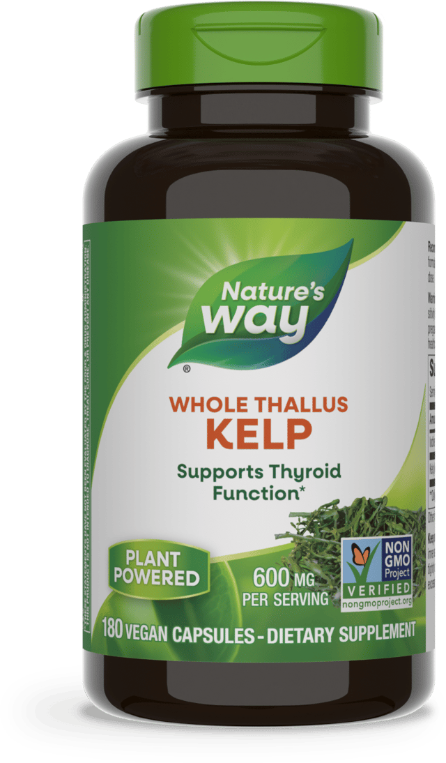 Kelp