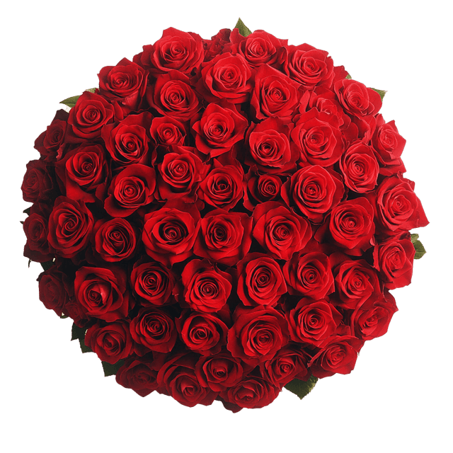Roses Next Day Delivery