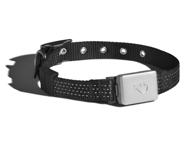 Whistle Switch Smart Collar