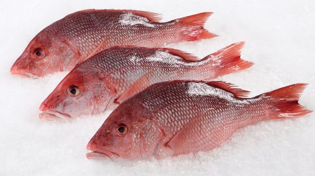 Red Snapper Whole