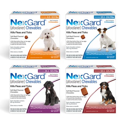 Nexgard Chewables