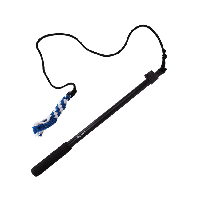 Extendable Flirt Pole