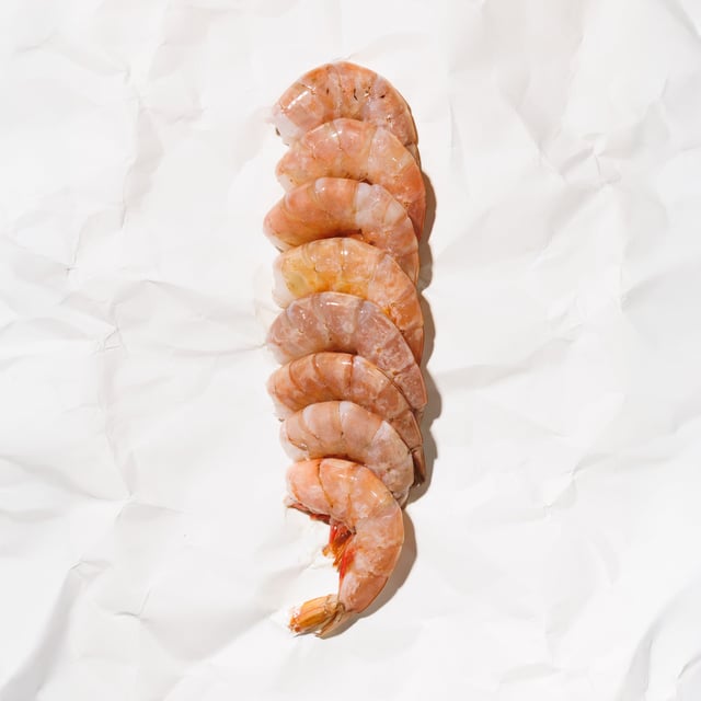 Brown Shrimp