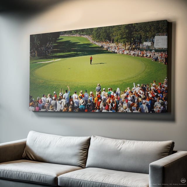 Tiger Woods - Main Stage