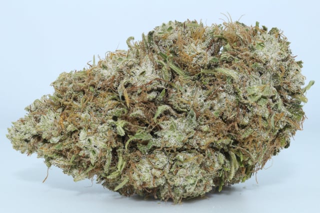 B-Good Bundle - CBG