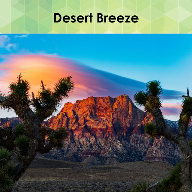 Desert Breeze - Resorts Collection