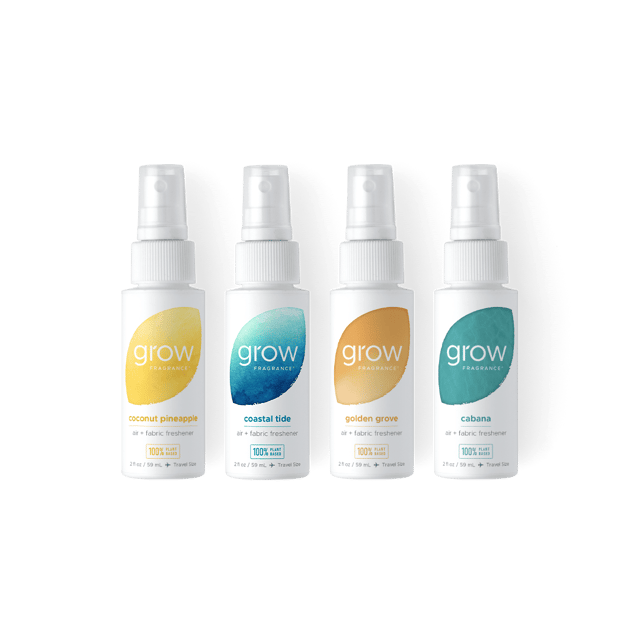 Summer Discovery Set