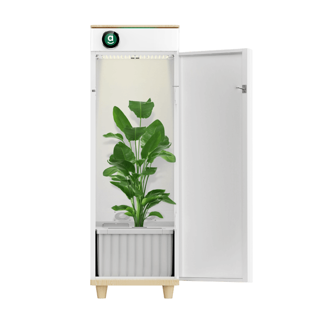 Hey abby Automated Grow Box 420 Edition