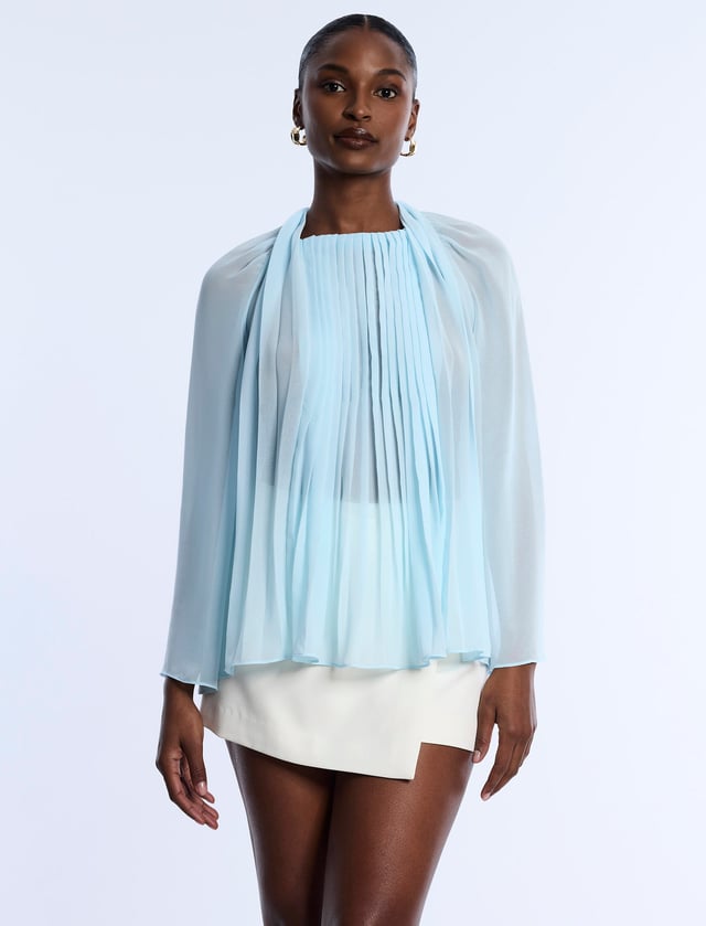Pleated Sheer Blouse