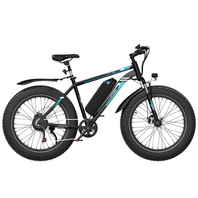 BK15 4.0 Fat Tire Electric Bike