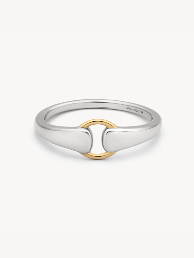 Mixed Metal Buckle Ring