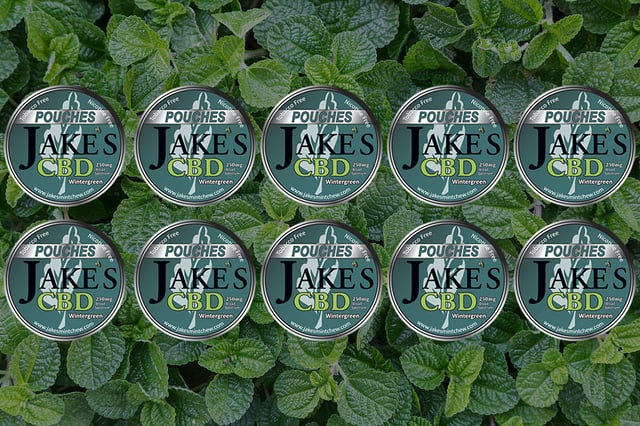 10 Tins CBD Pouches - Wintergreen