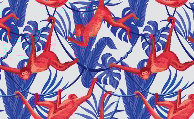 Monkeying Around | Wallpaper