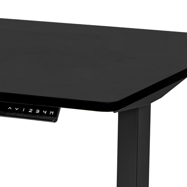 Standing Desk (Worksurface)