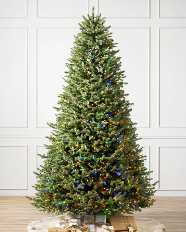 BH Balsam Fir Tree