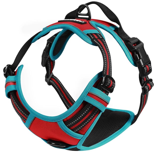 Rabbitgoo Multicolored No Pull Dog Harness