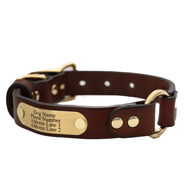 Personalized Hunting Dog Collar