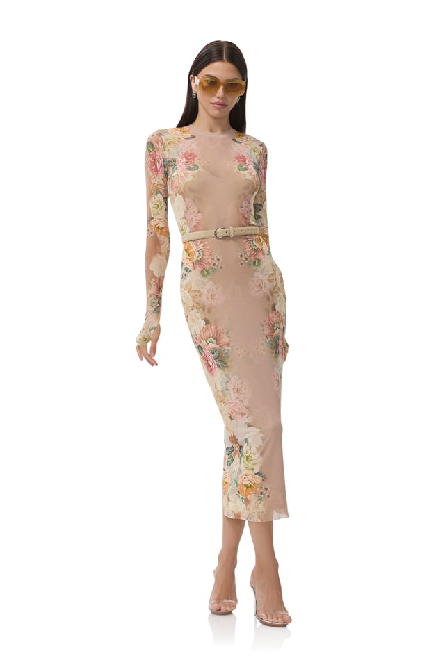 Ashland Dress - Honey Rose Frame