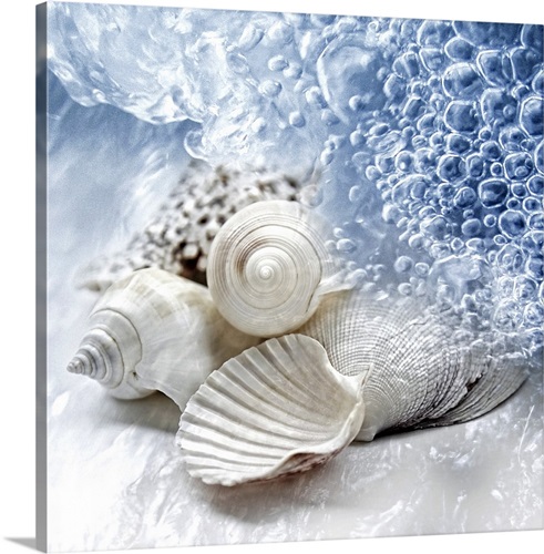 Seashells washed ashore Stretched Canvas Print
