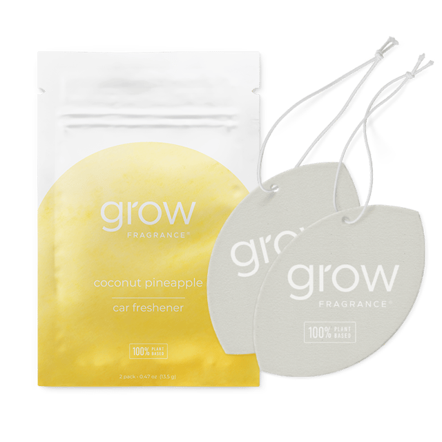 Coconut Pineapple Car Freshener