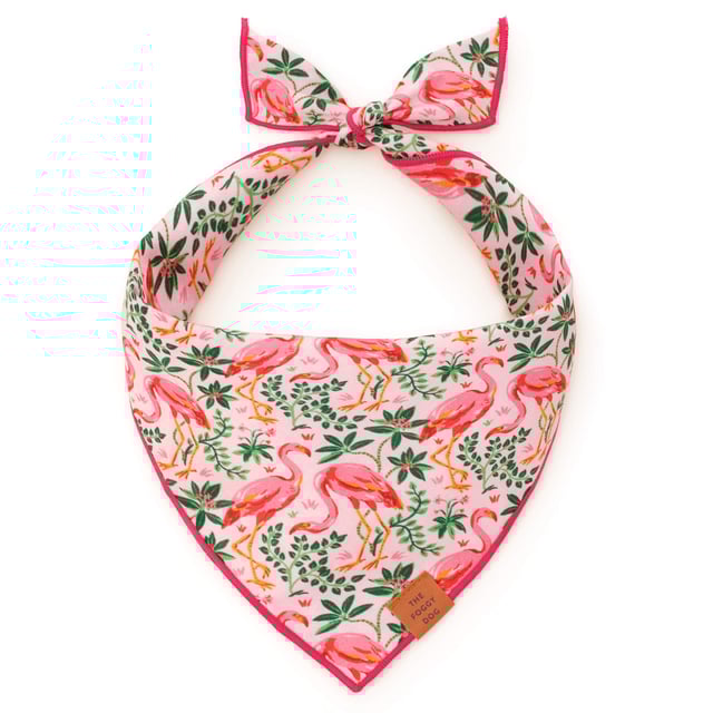 Printfresh x TFD Flock of Flamingos Dog Bandana