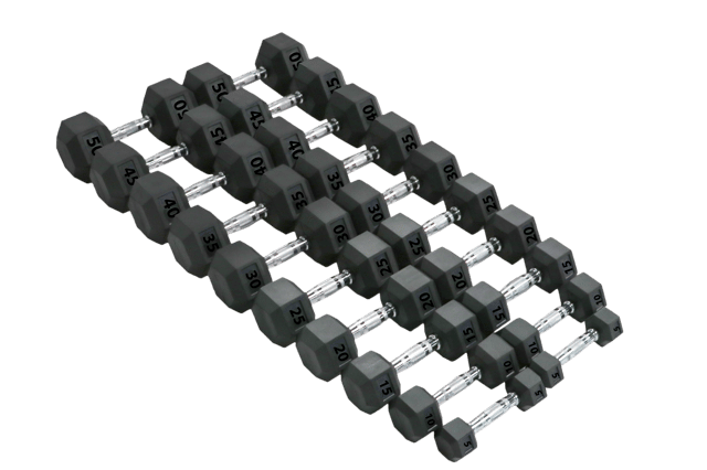 CLOSEOUT Dumbbells - Rubber Hex @ $1/LB