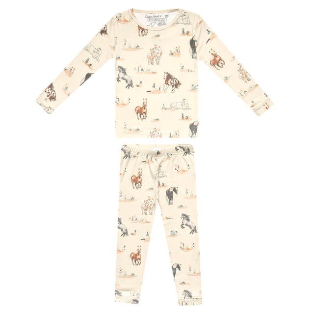 2pc Long Sleeve Pajama Set - Montana