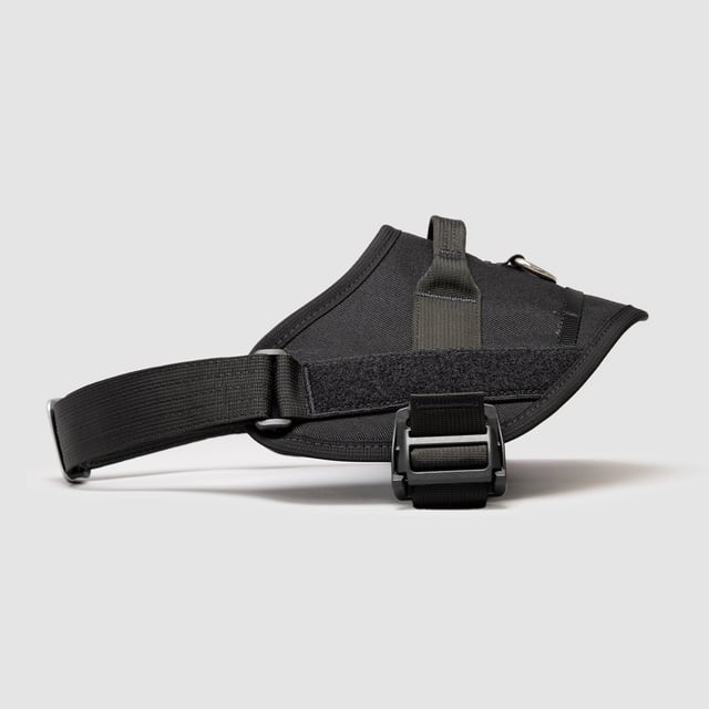 Lifetime Pro Harness - Blemish