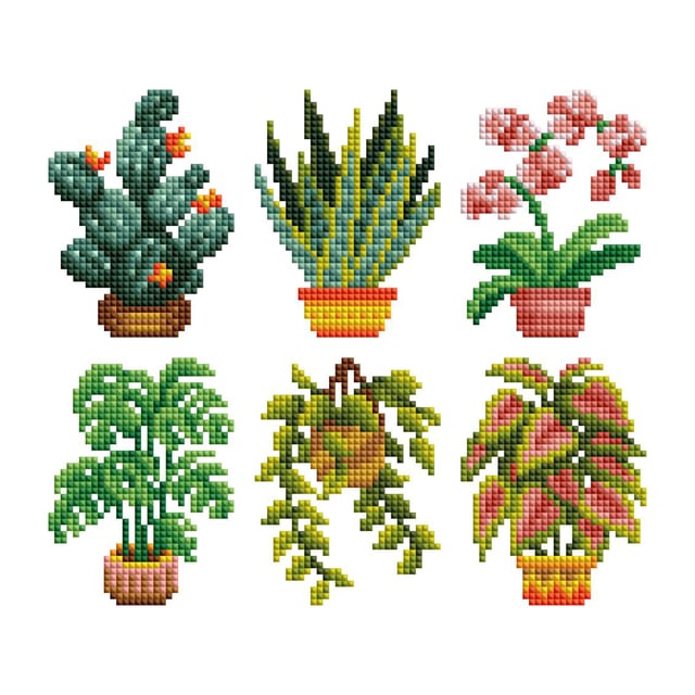 Mini Dazzles™ - House Plants