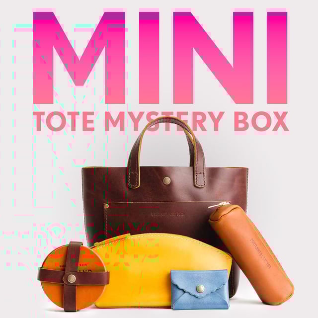 Mini Crossbody Mystery Box
