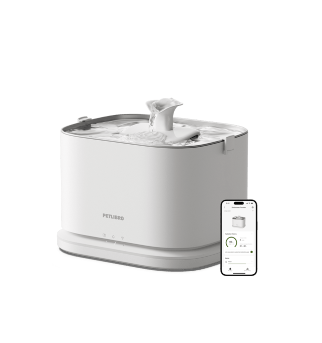 Dockstream 2 Smart Fountain