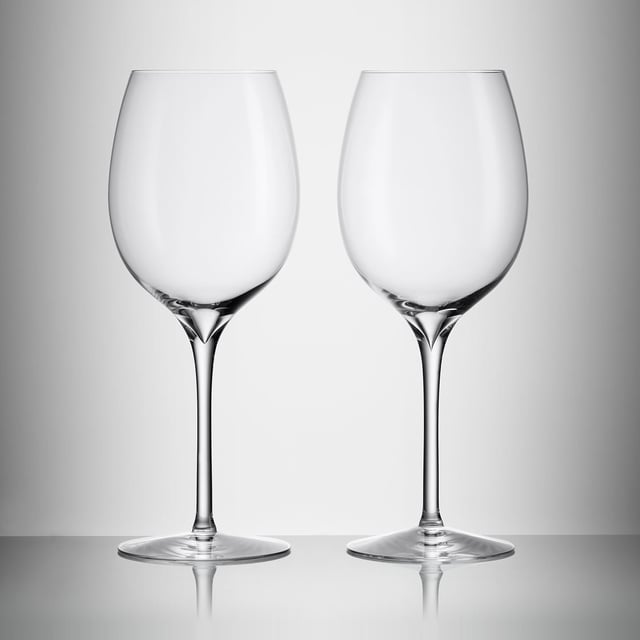 Pinot Grigio Wine Glass, 16.5oz, Set of 2