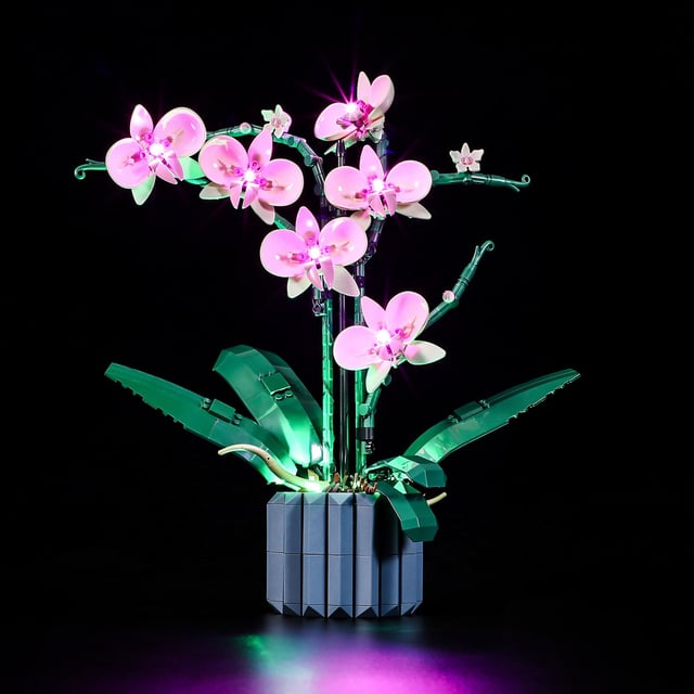 Light Kit For Orchid 10311-Lightailing