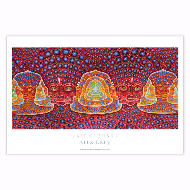 Net of Being - Poster
