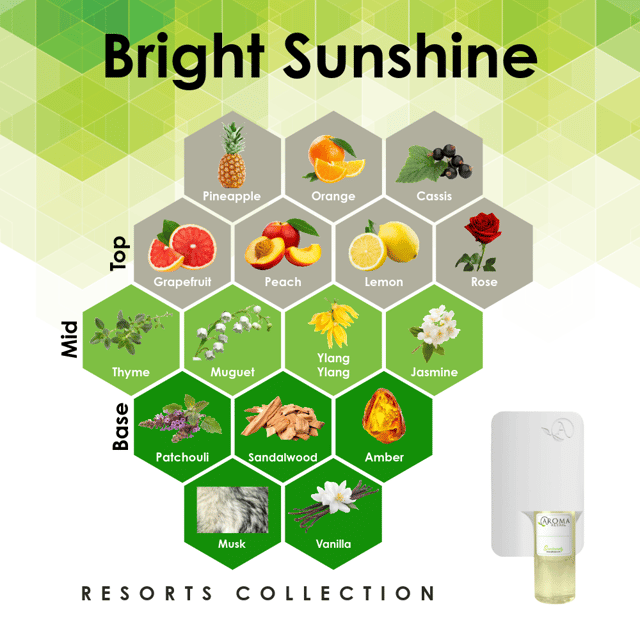 Scent Machine Room with Fragrance Oil