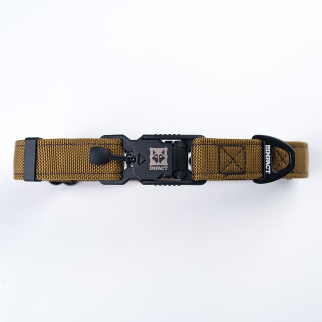 Ballistic Nylon Dog Collar