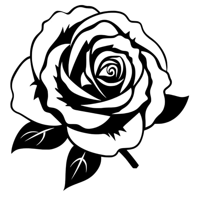 Single Rose