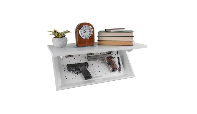 In-Plain-Sight - Shelf