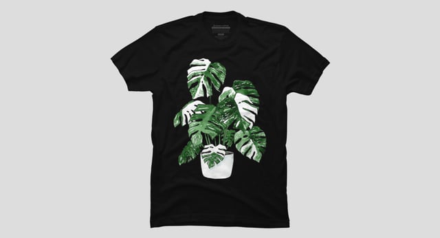 Monstera Deliciosa Leaf Plant Botany Gardening Nature